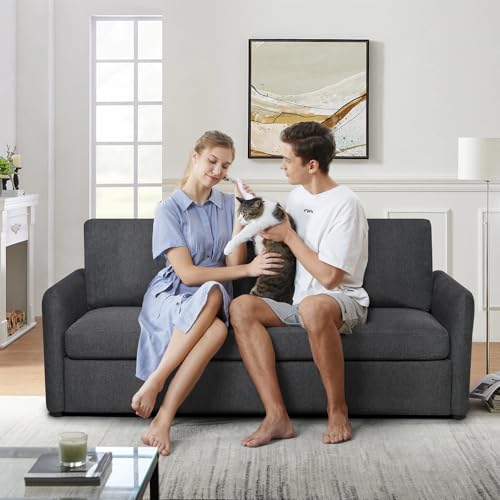 Sleeper Sofa Couch with Pullout Bed, Convertible Queen Size, Dark Grey Q469258