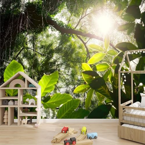 3D Wallpaper Sunshine Travelling Forest Nature Kirkland Self Adhesive Wall Mural Decor Sticker A195