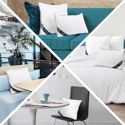 Utopia Bedding Throw Pillow Inserts 18 x 18 Inches, Pack of 2, White B1447