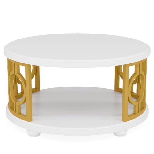 2-Tier Modern Round Coffee Table with Storage Shelf G2233