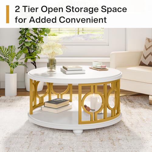 2-Tier Modern Round Coffee Table with Storage Shelf G2233