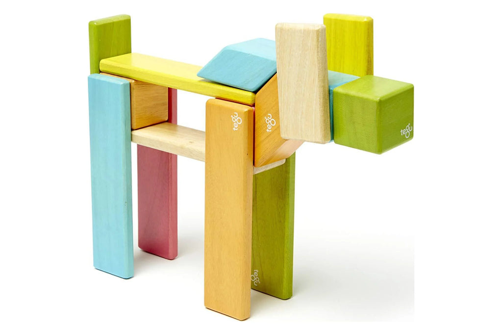 Tegu Magnetic Wooden Block Set, 24 Piece, Tints J9033