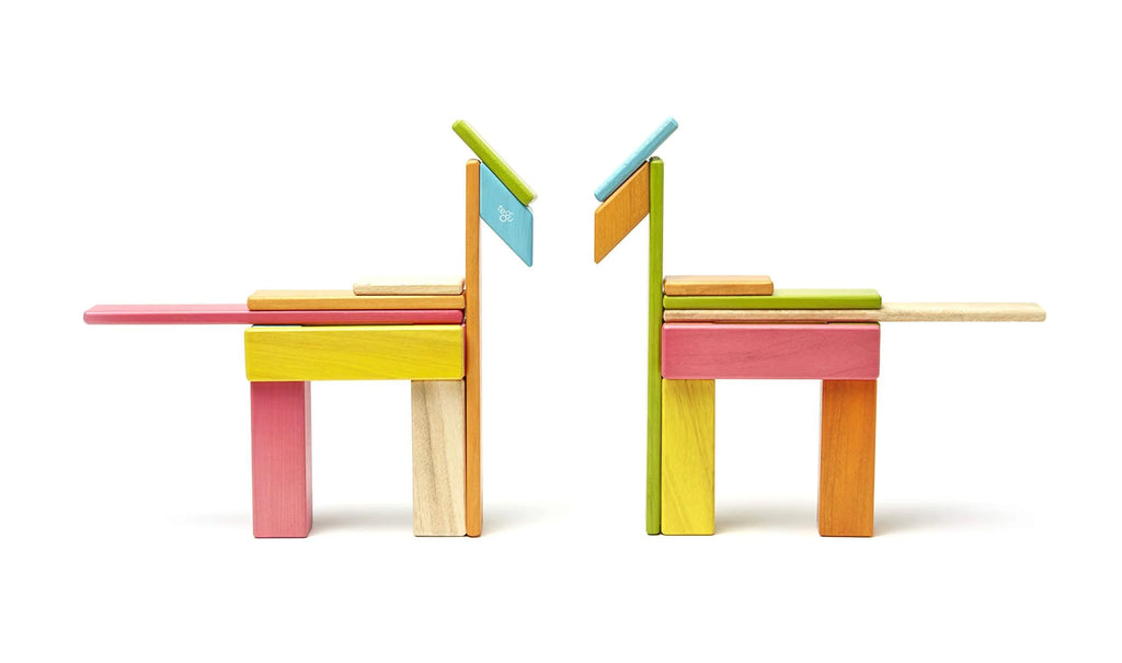 Tegu Magnetic Wooden Block Set, 24 Piece, Tints J9033