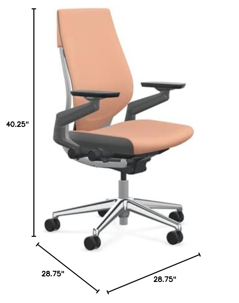 Steelcase Gesture Office Chair with Graphite Fabric, Lumbar Support, Hard Floor Casters N577
