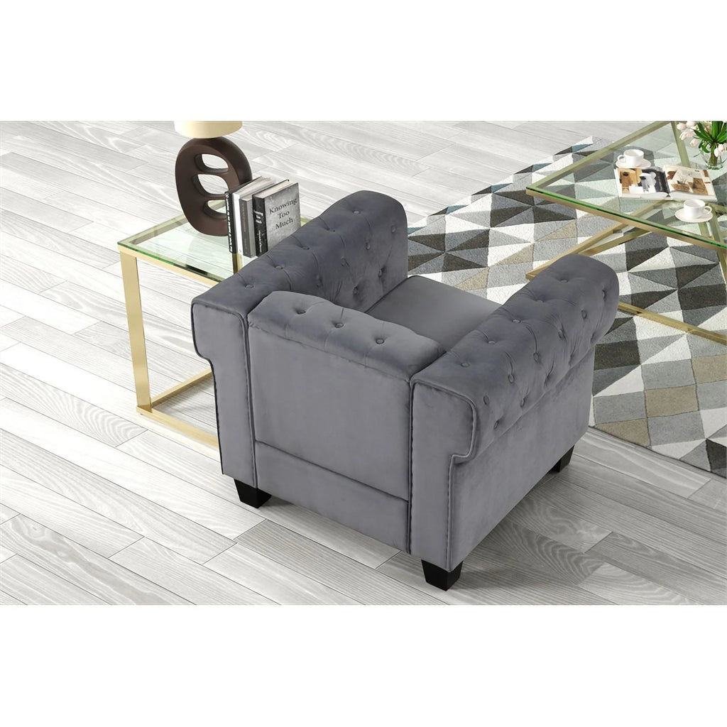 Rnfurnishings inc Arav 2-Piece Velvet Living Room Furniture Set - Gray P6242