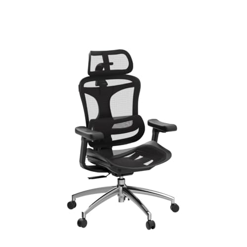 SIHOO Doro C300 Ergonomic Office Chair with 3D Armrests, Lumbar Support, Grey O604038