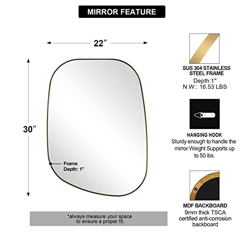 ANDY STAR Irregular Wall Mirror 24x36" Brushed Gold Z11592