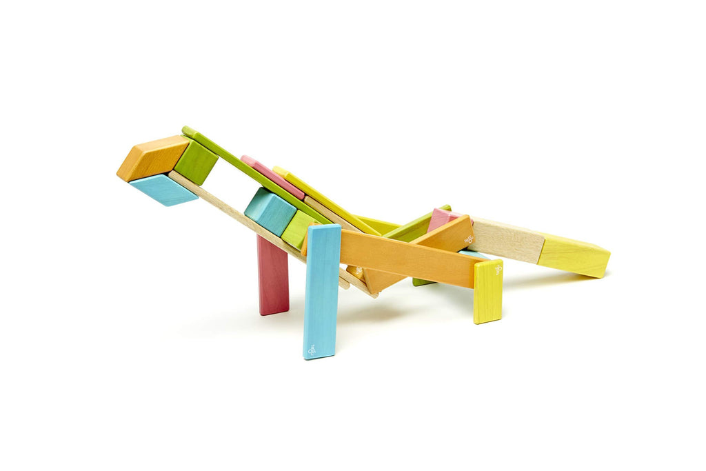 Tegu Magnetic Wooden Block Set, 24 Piece, Tints J9033