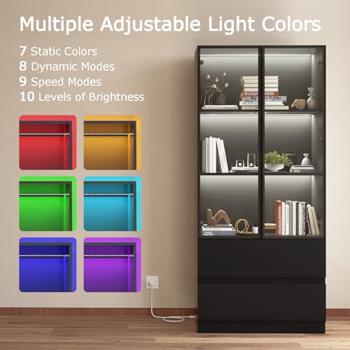 Glass Display Cabinet with LED Lights and 3-Tier Shelves Y843