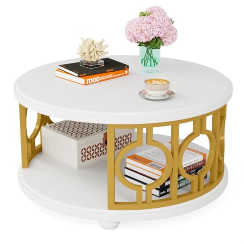 2-Tier Modern Round Coffee Table with Storage Shelf G2233