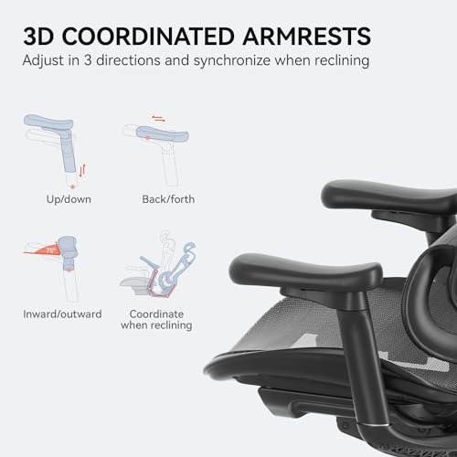 SIHOO Doro C300 Ergonomic Office Chair with 3D Armrests, Lumbar Support, Grey O604038