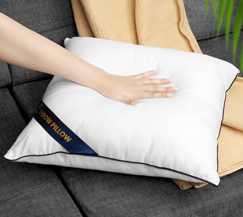 Utopia Bedding Throw Pillow Inserts 18 x 18 Inches, Pack of 2, White B1447