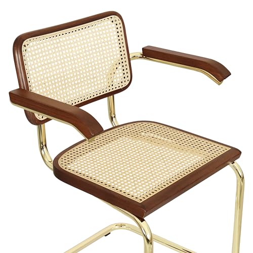 Cane Cantilever Armchair with Brass Steel Frame R937