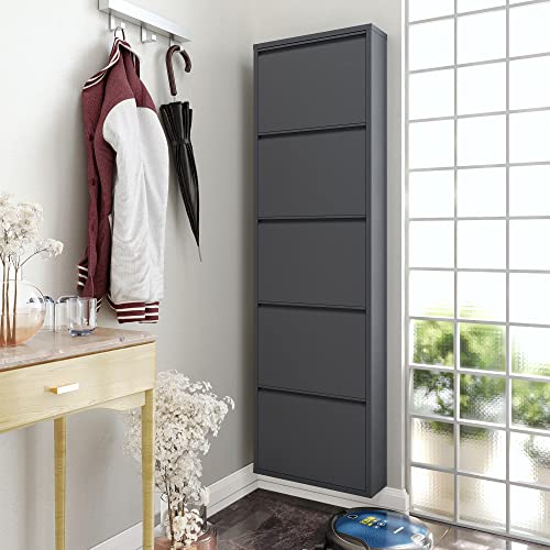 5 Tier Metal Shoe Cabinet with Cover, Anthracite Q68446
