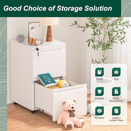 Superday 2 Drawer Metal Rolling File Cabinet with Lock, White E545765