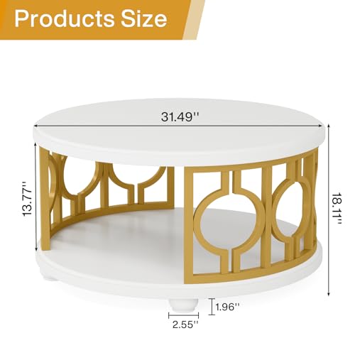 2-Tier Modern Round Coffee Table with Storage Shelf G2233