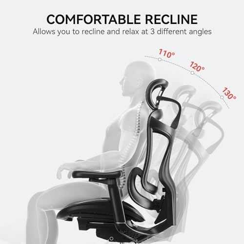 SIHOO Doro C300 Ergonomic Office Chair with 3D Armrests, Lumbar Support, Grey O604038