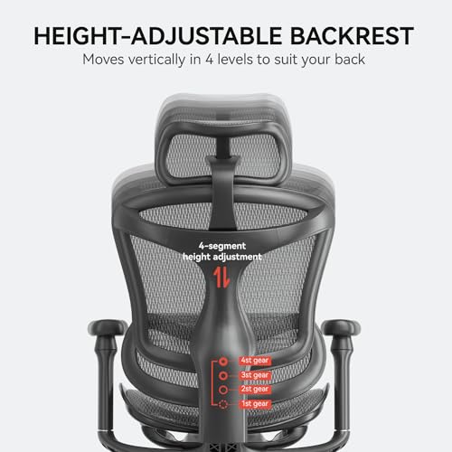 SIHOO Doro C300 Ergonomic Office Chair with 3D Armrests, Lumbar Support, Grey O604038