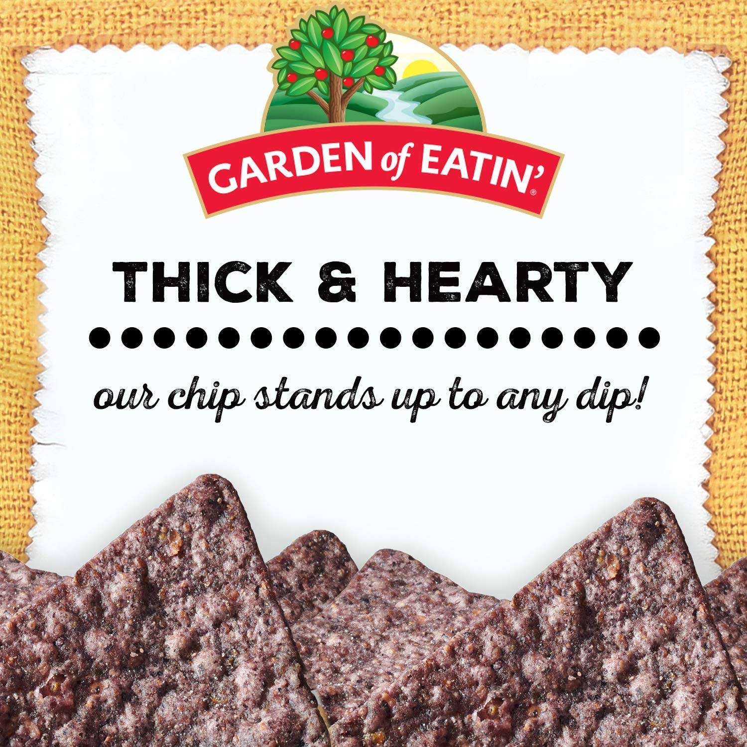 Garden of Eatin No Salt Added Blue Corn Tortilla Chips 16 oz. I57776