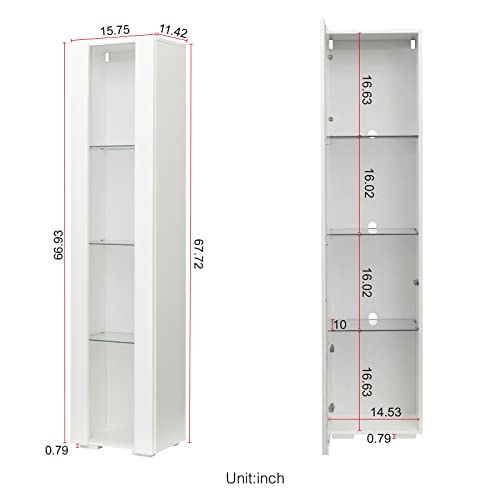 Modern 4-Shelves Display Cabinet with Clear Acrylic Door and LED Light C976